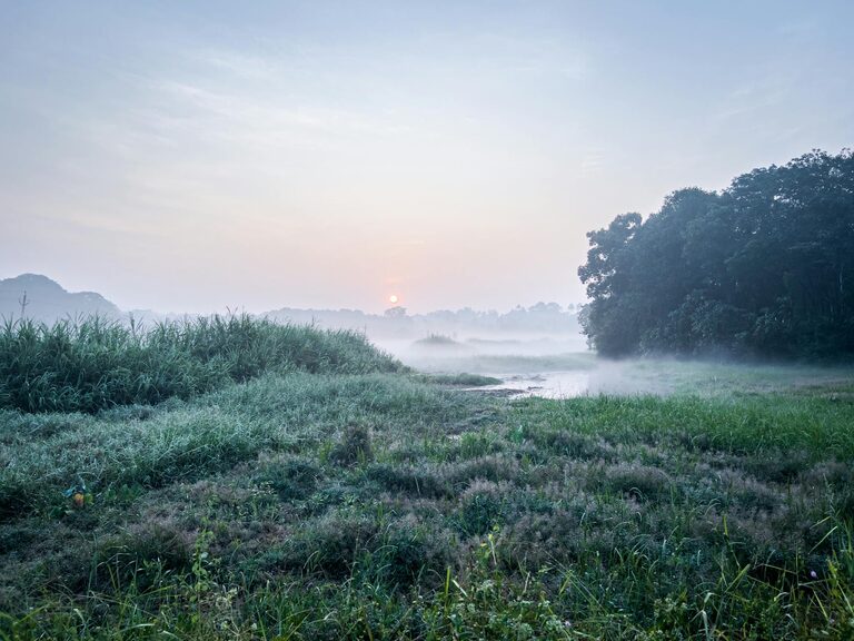 How to Back Up Your Photos and Files: Easy Steps to Secure Your Data